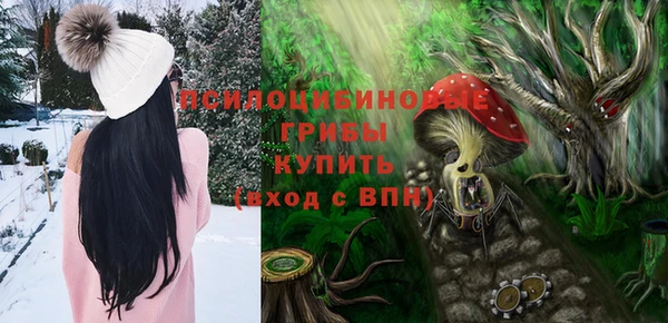 дживик Балахна