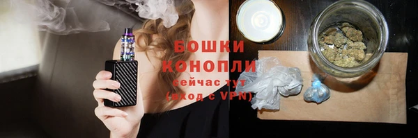 дживик Балахна
