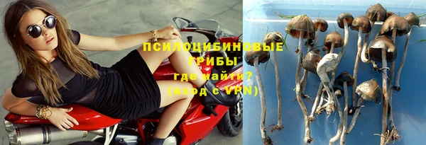 дживик Балахна