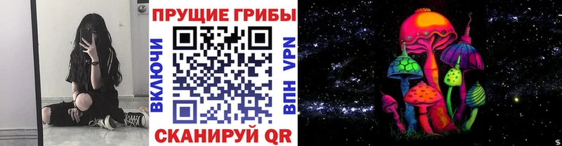 дарнет шоп  гидра маркетплейс  Галлюциногенные грибы мицелий  Североуральск 